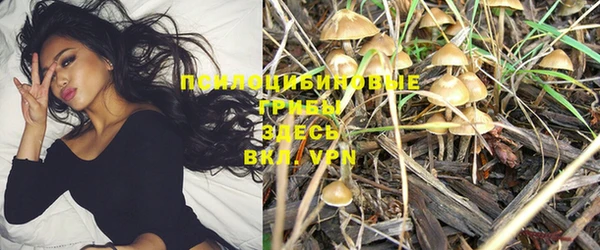 PSILOCYBIN Белоозёрский