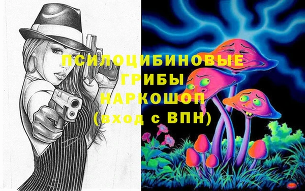 PSILOCYBIN Белоозёрский